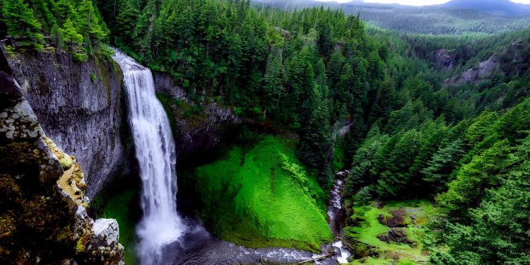 Green Innovations: How Technology is Pioneering Sustainable Environmental Practices