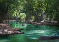 Economic Policies for Environmental Protection: What Works and What Doesn’t?