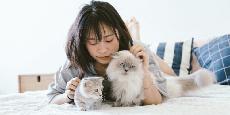 Choosing the Right Pet for Your Lifestyle: A Comprehensive Guide