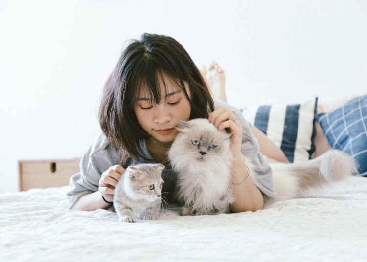 Choosing the Right Pet for Your Lifestyle: A Comprehensive Guide