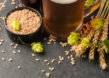 Cascade-Hopped Beers and Breweries: A Dive into the Iconic Craft Beer Ingredient