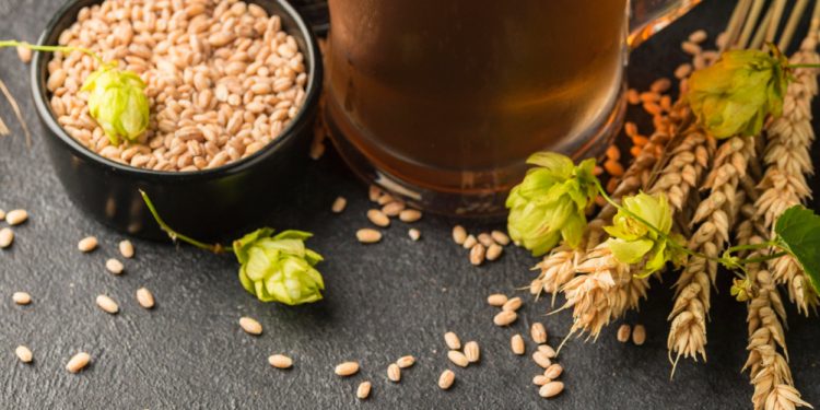 Cascade-Hopped Beers and Breweries: A Dive into the Iconic Craft Beer Ingredient