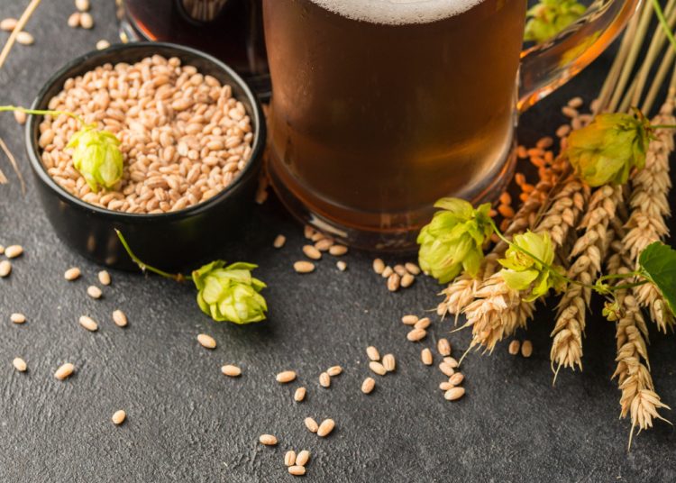 Cascade-Hopped Beers and Breweries: A Dive into the Iconic Craft Beer Ingredient