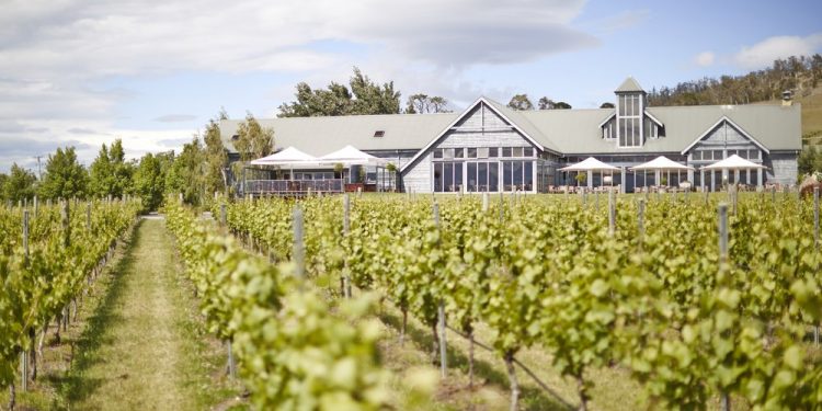 Indulging in Gourmet Food and Wine Pairings