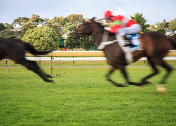 Ladies Day Competitions in the UK: Top Racecourses Offering the Biggest Prizes