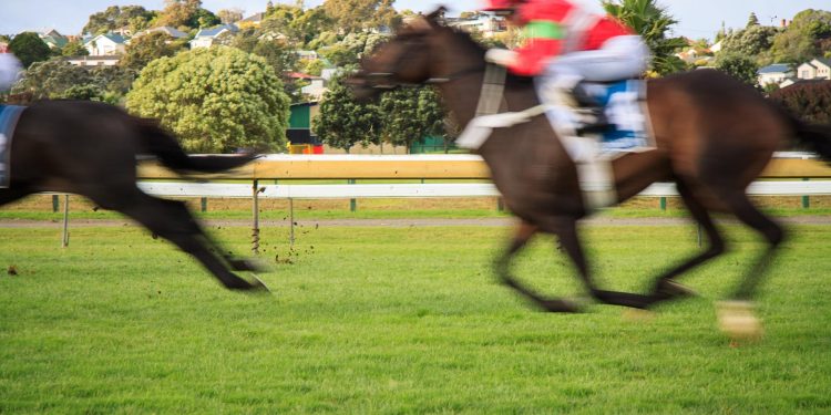 Ladies Day Competitions in the UK: Top Racecourses Offering the Biggest Prizes