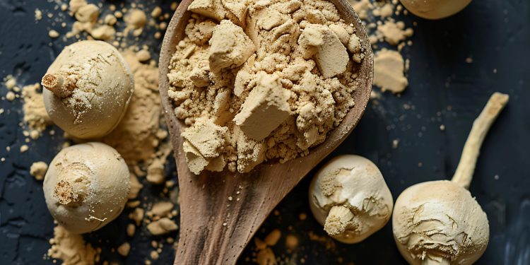Could Maca Supplement Singapore Be Your Secret to Vitality?